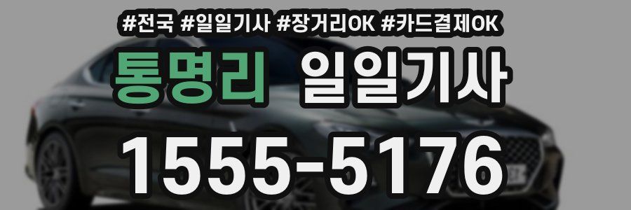 통명리 일일기사