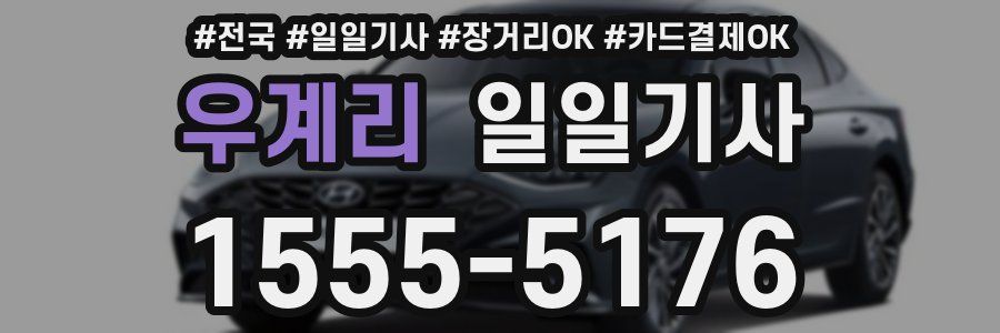 우계리 일일기사