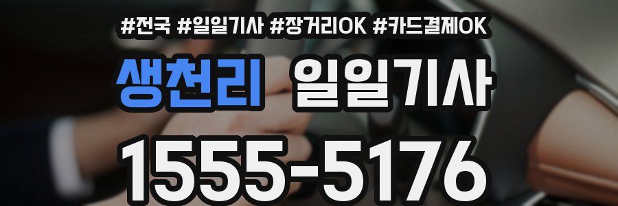 생천리 일일기사