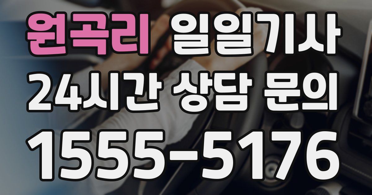 일일대리기사