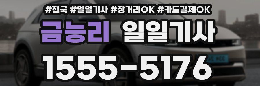 금능리 일일기사