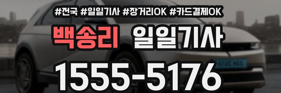 백송리 일일기사