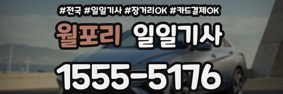 월포리 일일기사