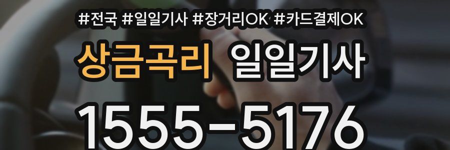 상금곡리 일일기사