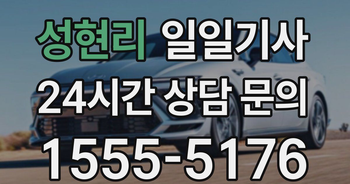 일일대리기사