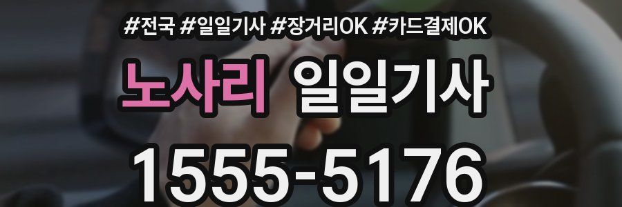 노사리 일일기사
