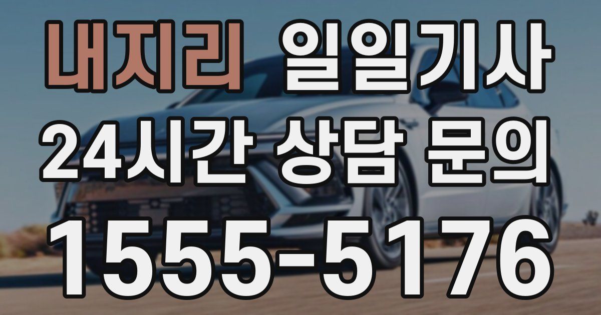 일일대리기사