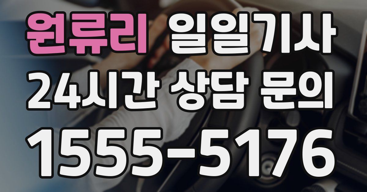 일일대리기사