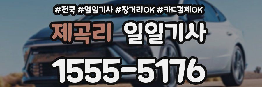 제곡리 일일기사