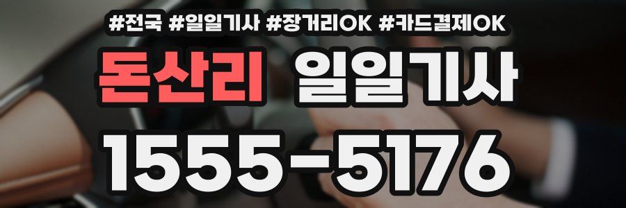 돈산리 일일기사