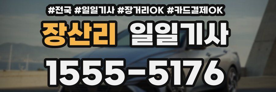 장산리 일일기사