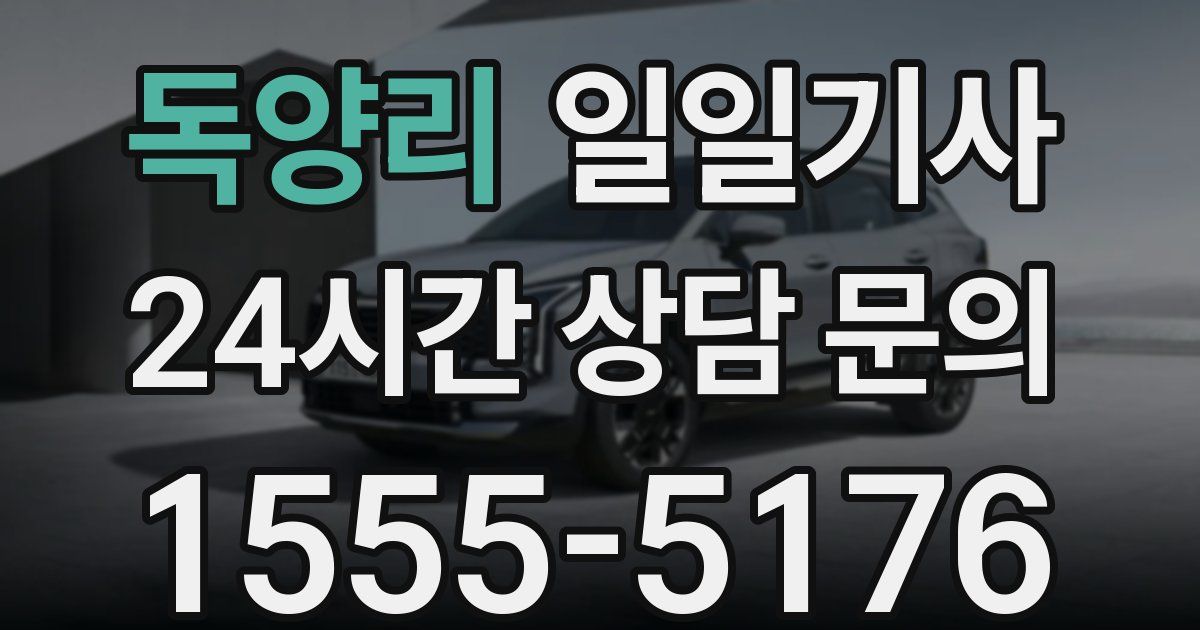 일일대리기사