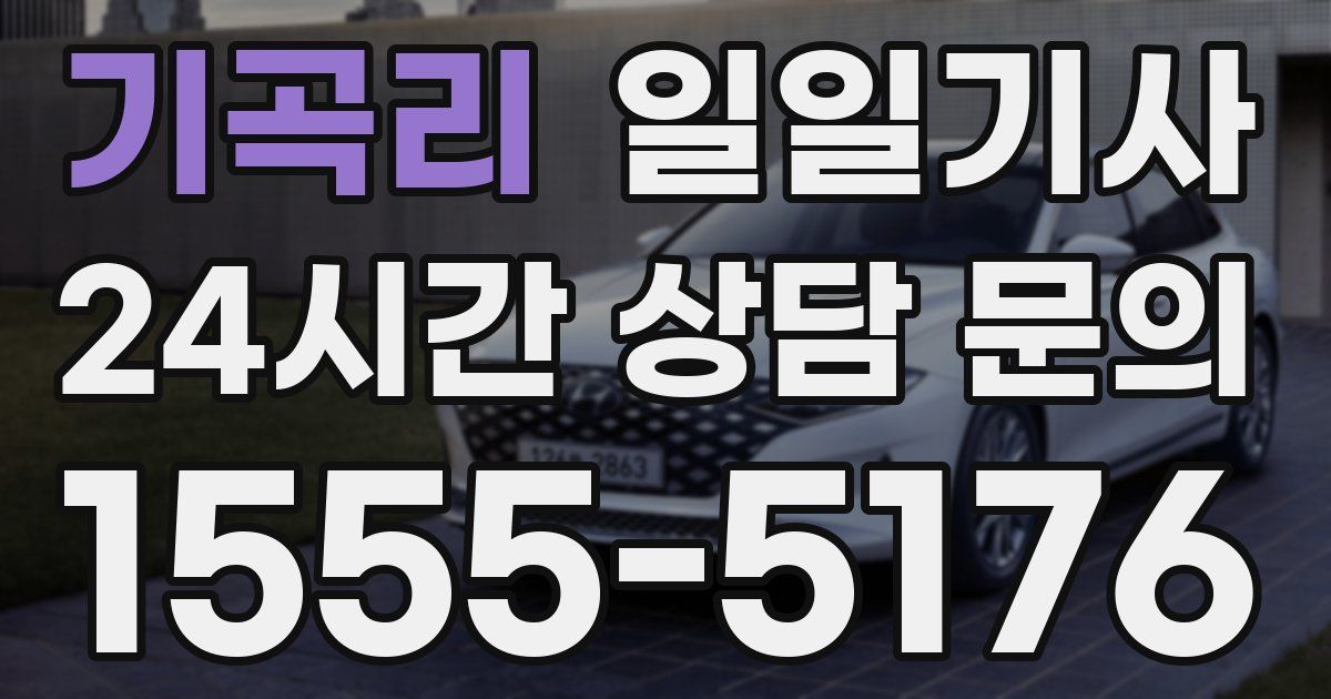 일일대리기사
