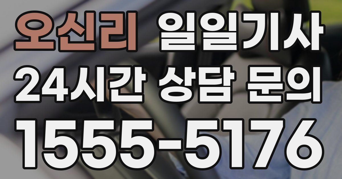 일일대리기사