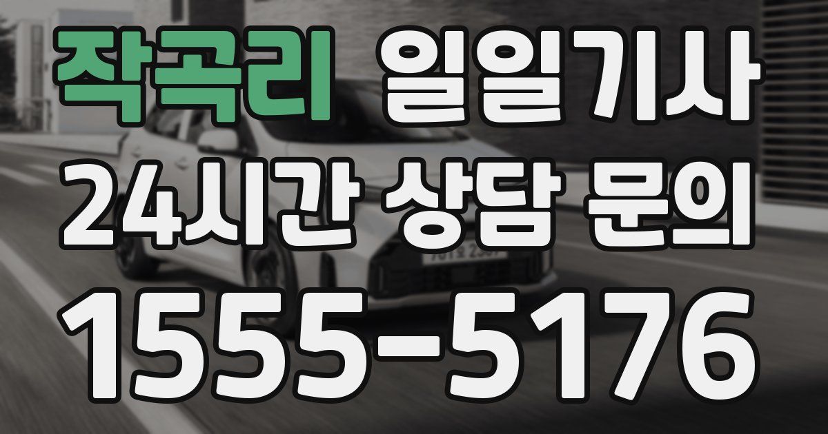 일일대리기사