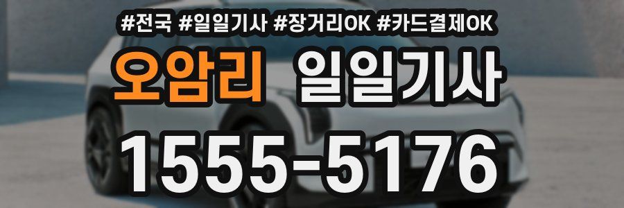 오암리 일일기사