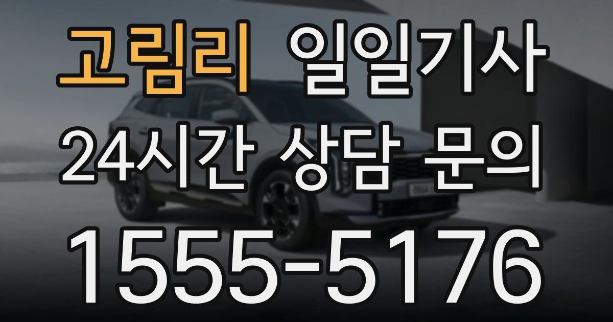 일일대리기사