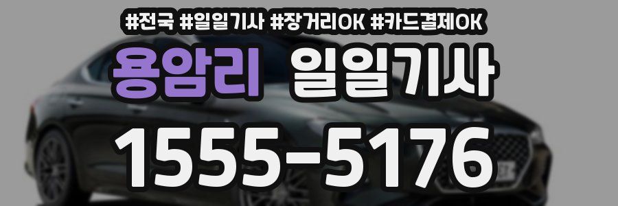 용암리 일일기사