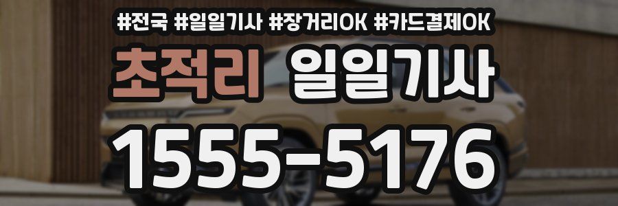 초적리 일일기사