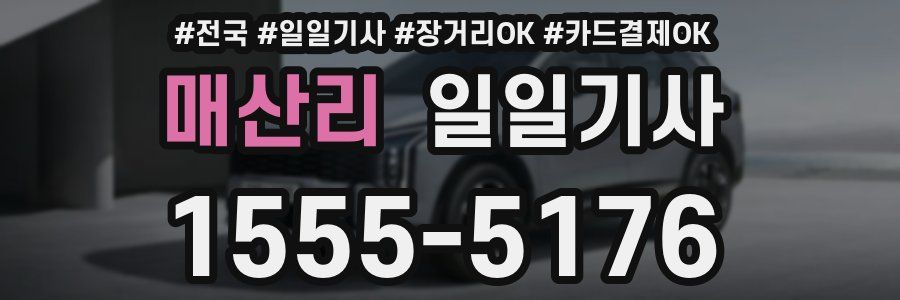 매산리 일일기사