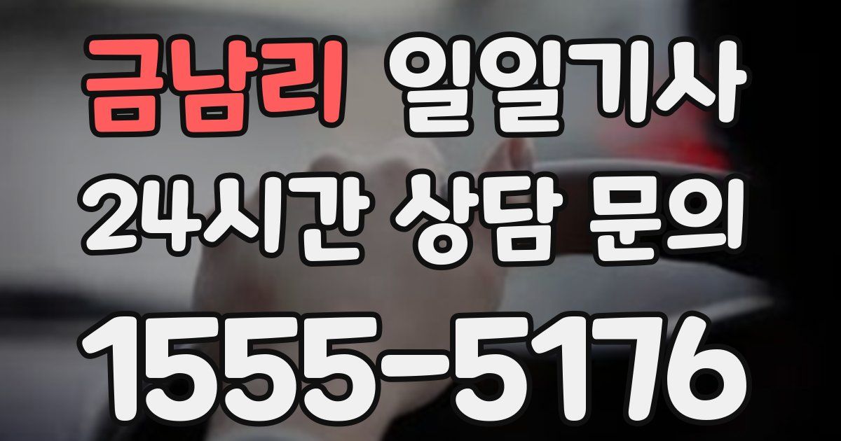 일일대리기사