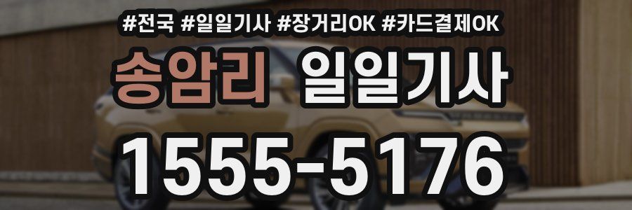 송암리 일일기사