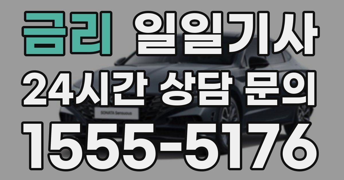 일일대리기사