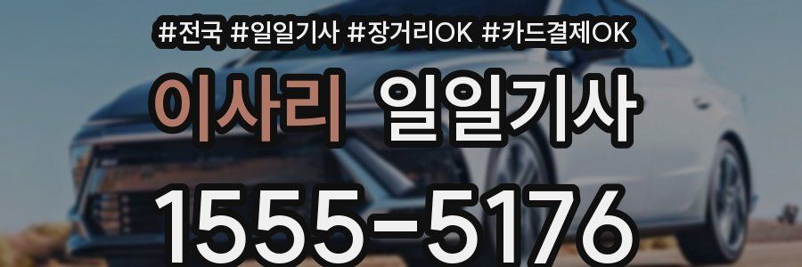 이사리 일일기사