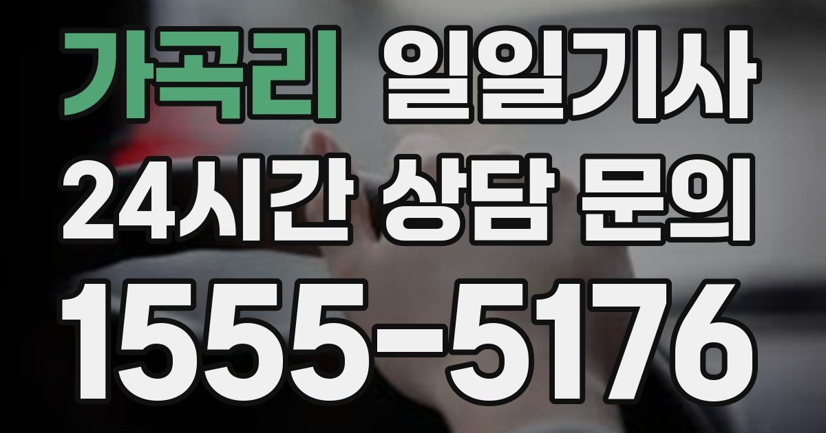 일일대리기사