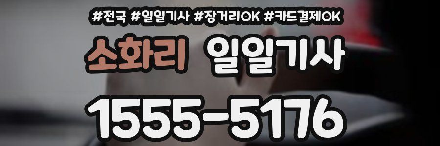 소화리 일일기사