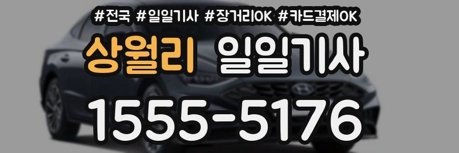 상월리 일일기사