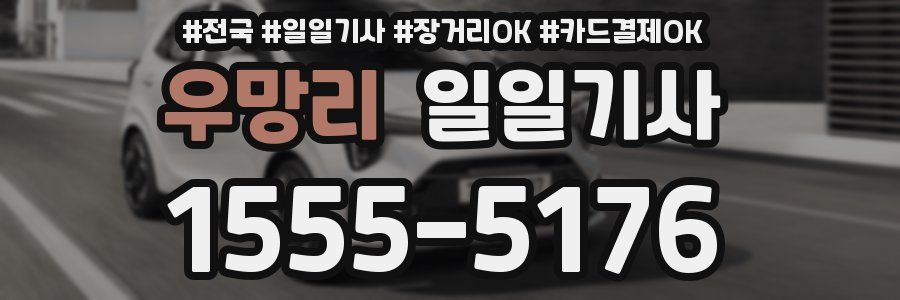 우망리 일일기사