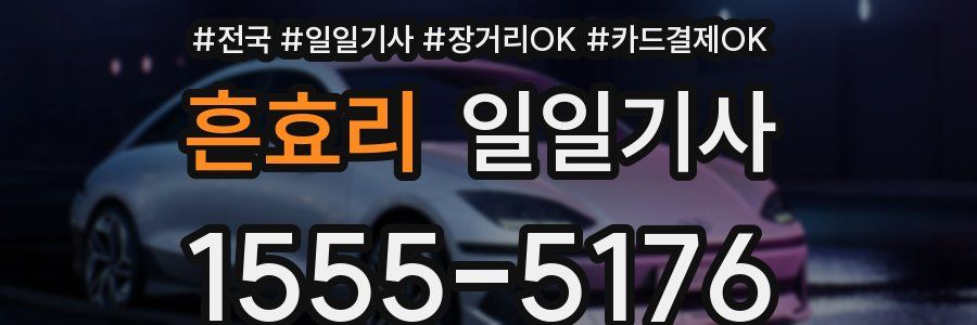 흔효리 일일기사