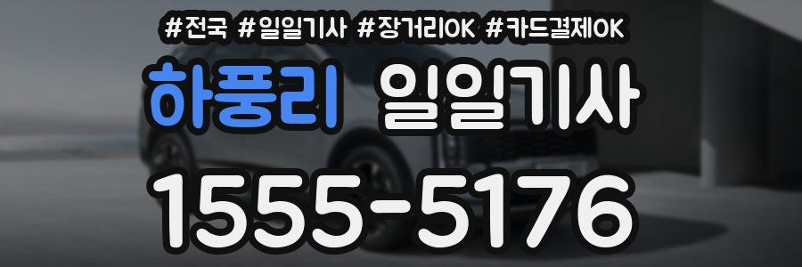 하풍리 일일기사