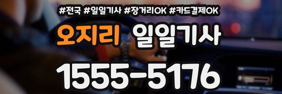 오지리 일일기사