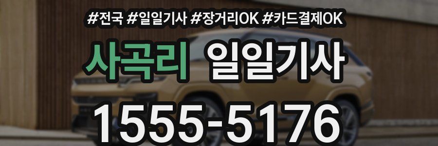 사곡리 일일기사