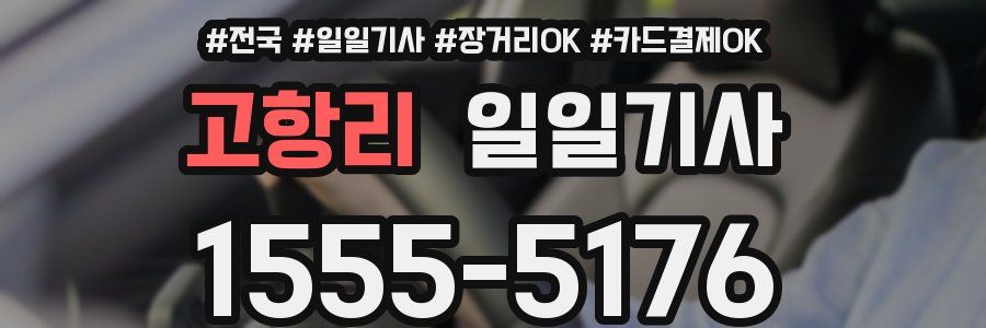 고항리 일일기사