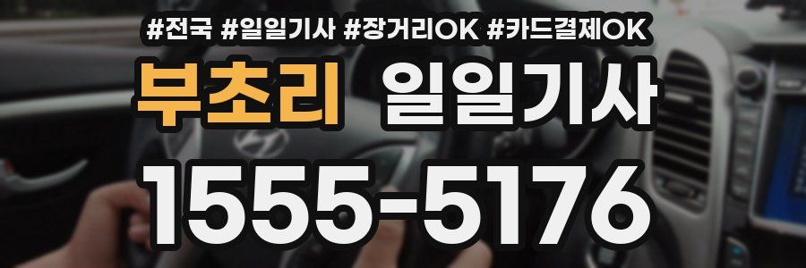 부초리 일일기사