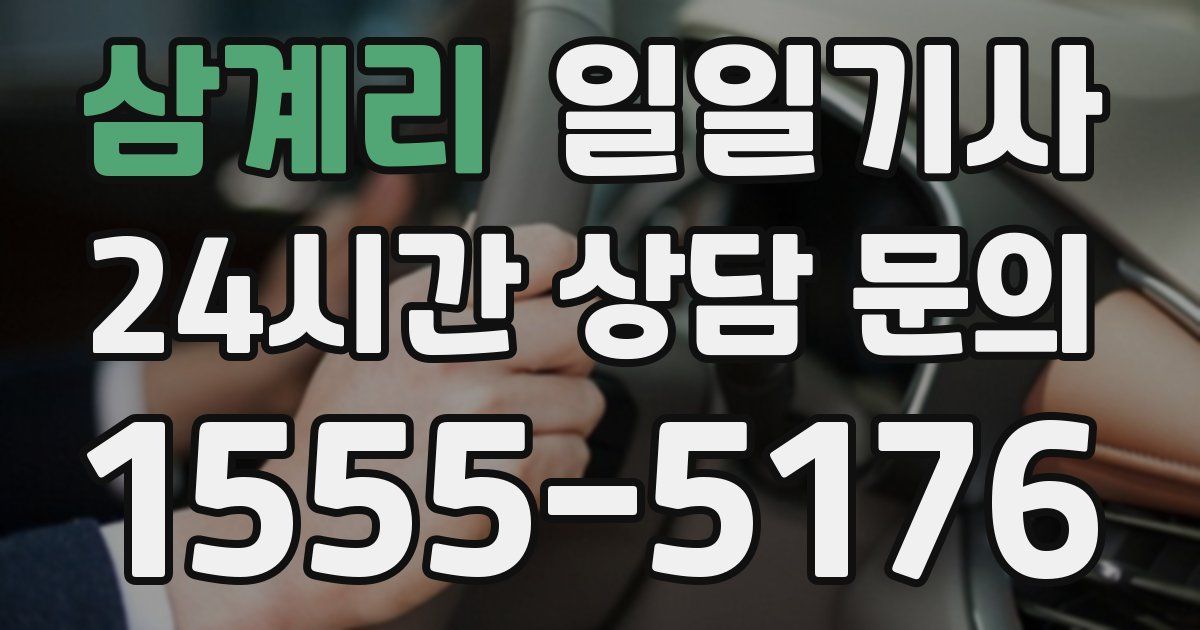 일일대리기사