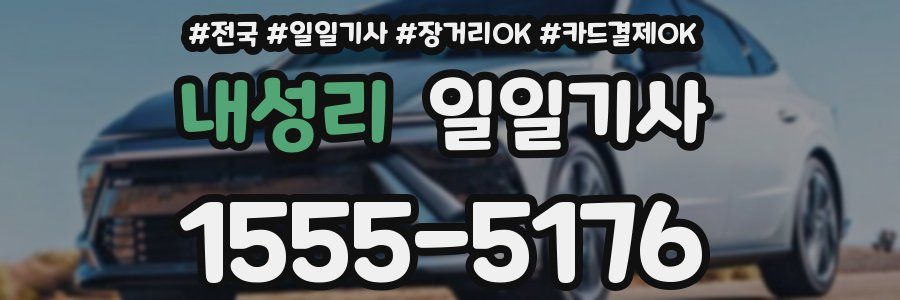 내성리 일일기사