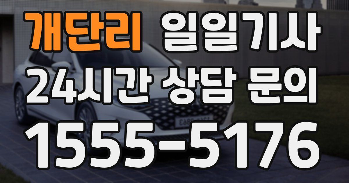 일일대리기사