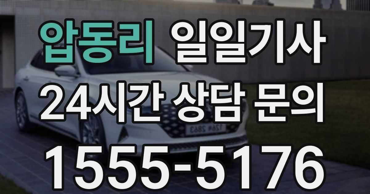 일일대리기사