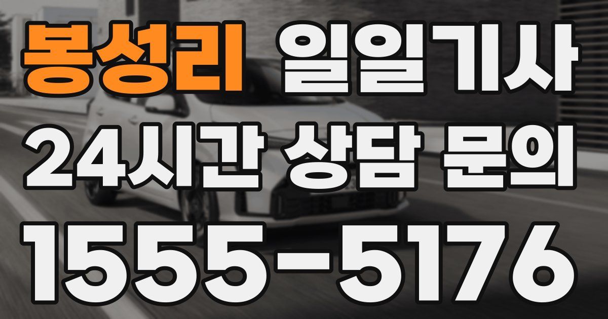 일일대리기사