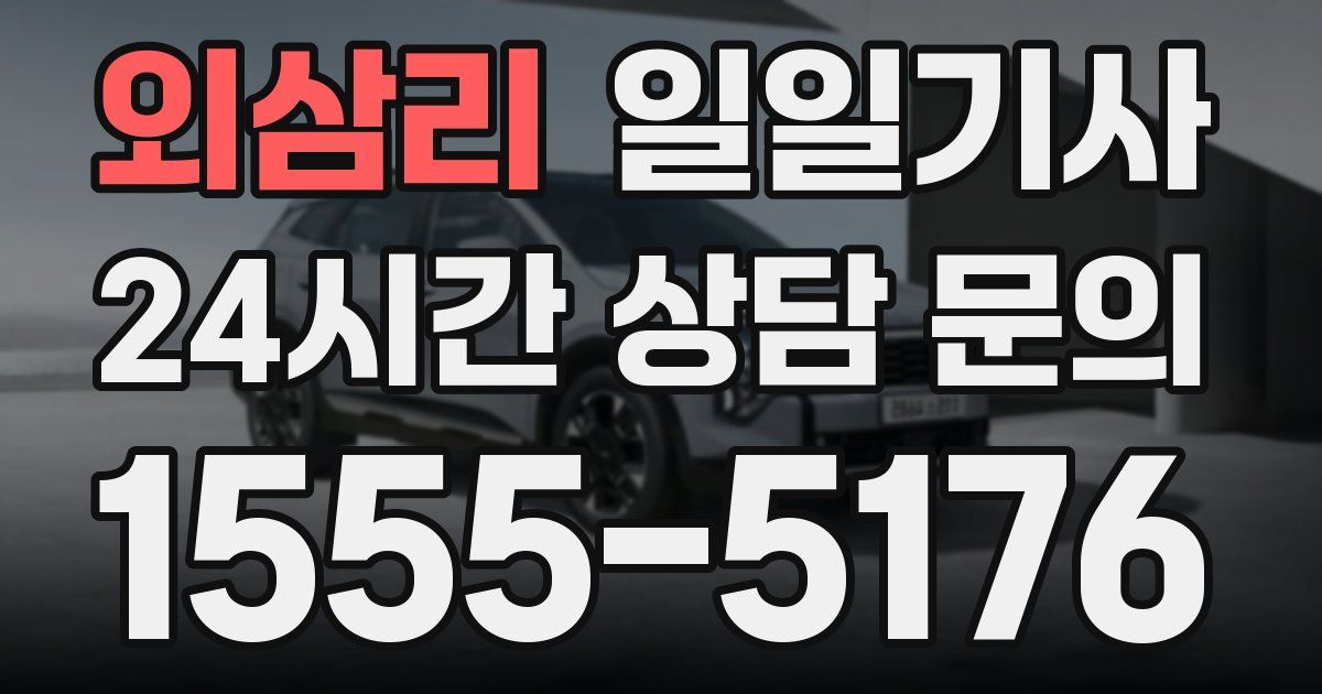 일일대리기사