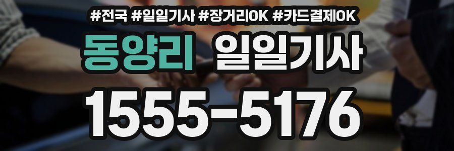 동양리 일일기사