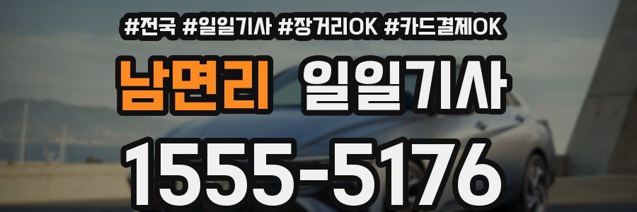 남면리 일일기사