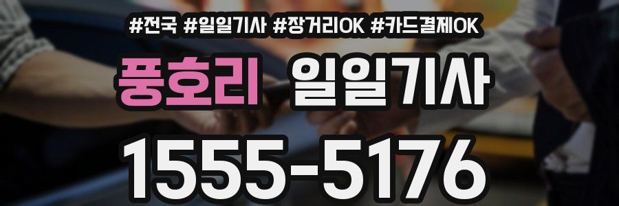 풍호리 일일기사