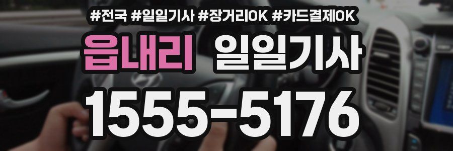 읍내리 일일기사