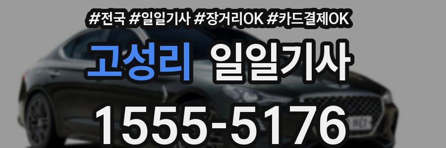 고성리 일일기사