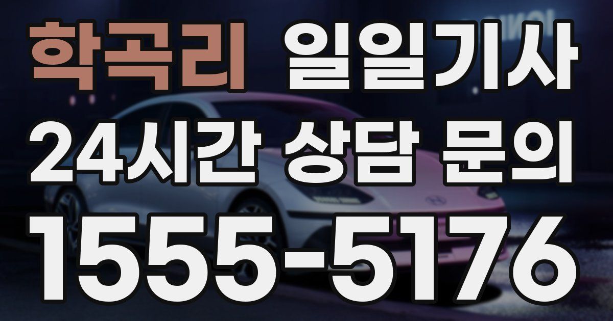 일일대리기사